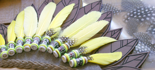 indian feathers plumes indien