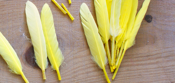 plume jaune indien yellow indian feather