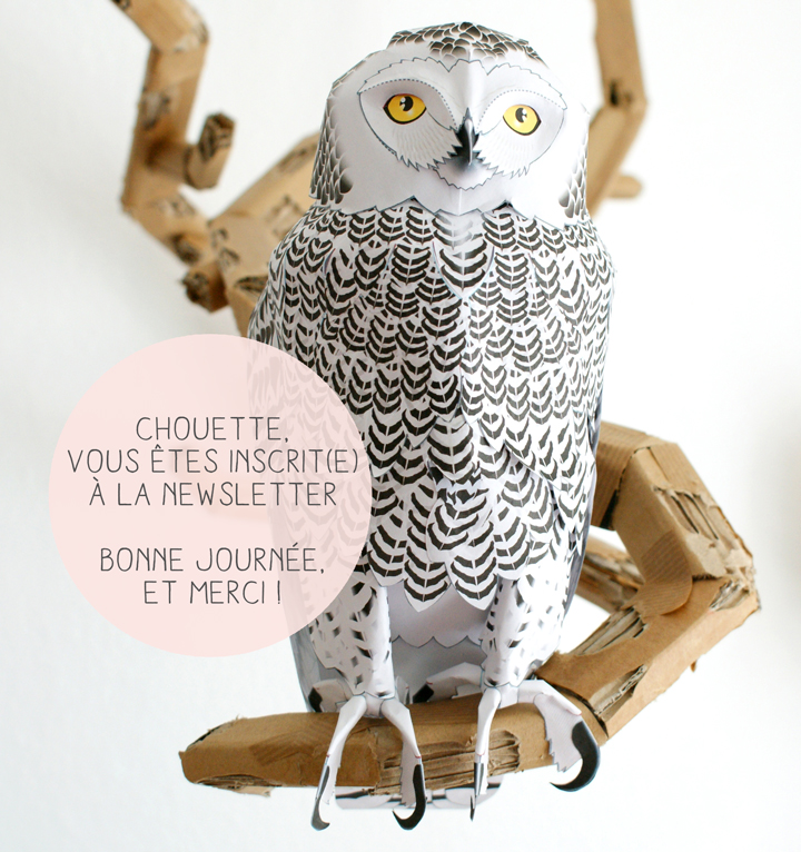 newsletter-page-chouette