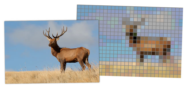 diy-pixel-animal-art