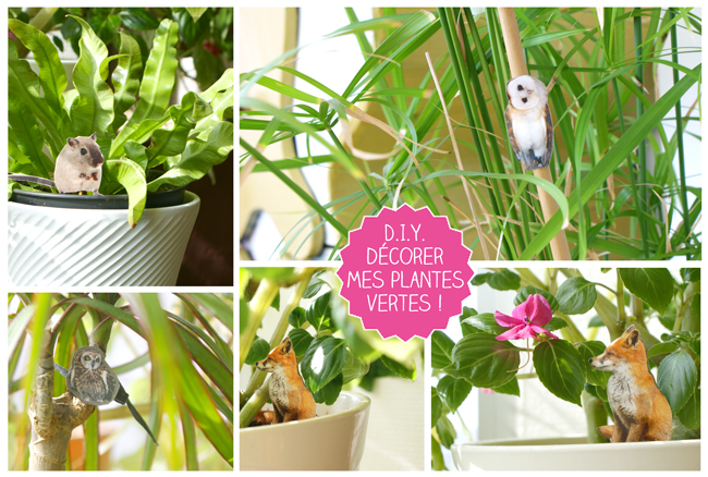 dit-decorer-plantes-vertes