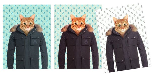 diy-portrait-chat-cat