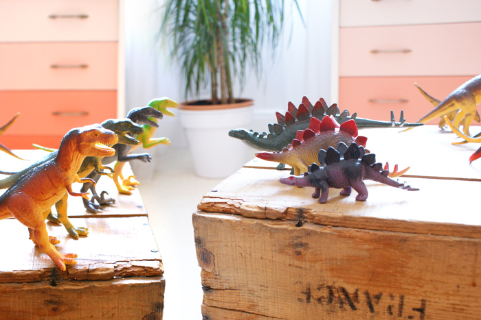 dinausaure-collection-dino