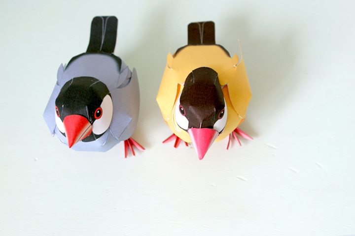 diy-oiseau-bird
