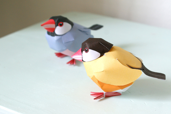 diy-oiseau-papier