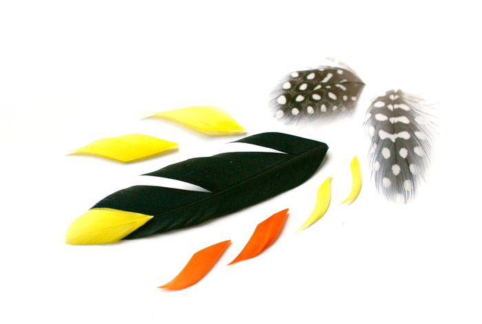 diy-plumes