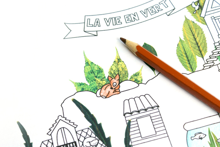 illustration-poster-colorier-animaux