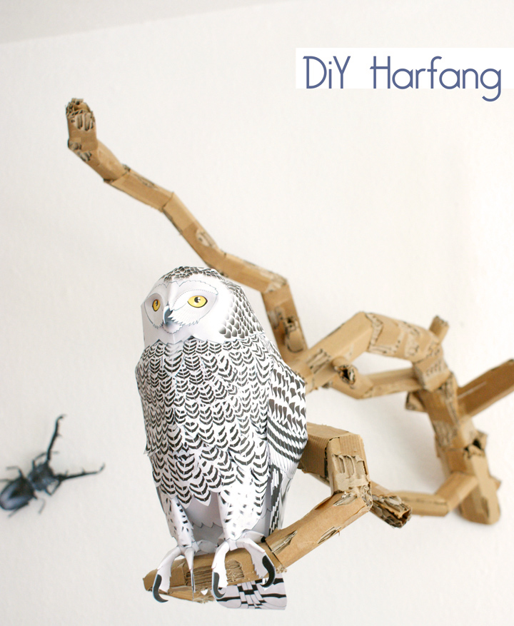 chouette-papier-paper-owl