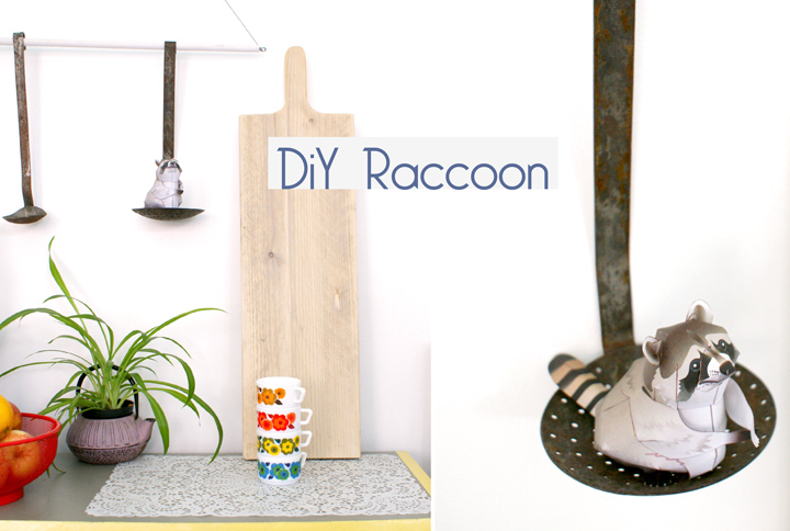 diy-raccoon-raton-laveur-diy