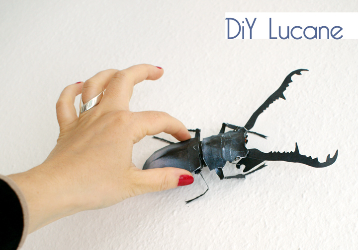 paper-beetle-insecte-papier-insect-diy