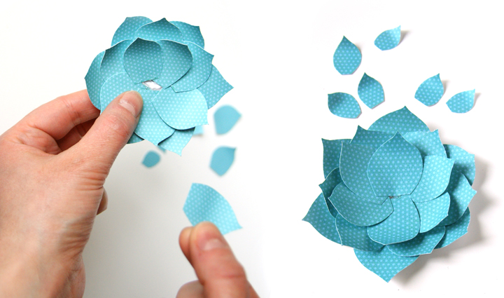 diy-plante-grasse-papier