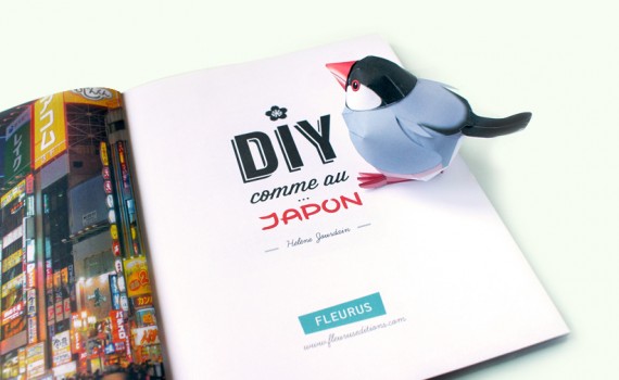 diy-japon