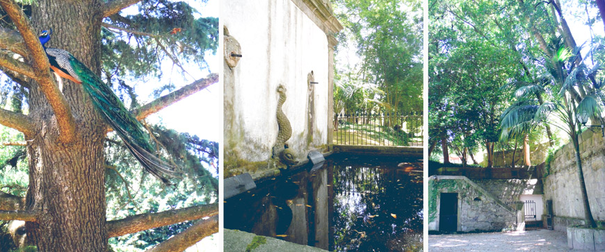 jardin-palacio-cristal-porto