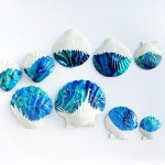 Coquillages marbrés.