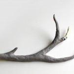 DiY Trophée Bois de cerf