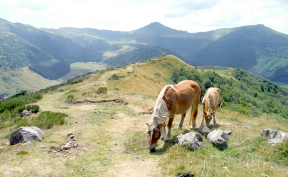 randonnee-cantal-auvergne-puy-mary