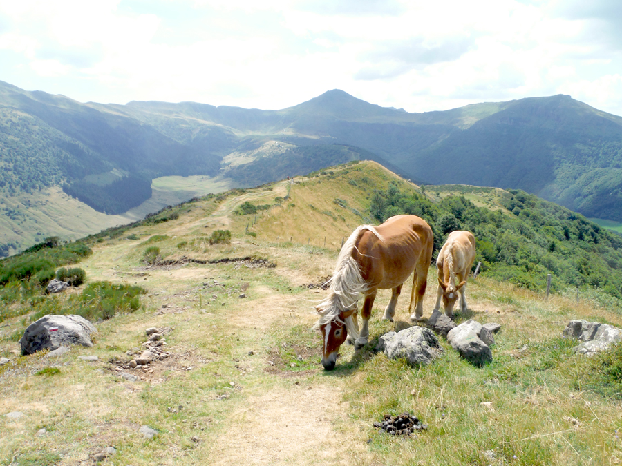 randonnee-cantal-auvergne-puy-mary randonnee-cantal-auvergne-puy-mary
