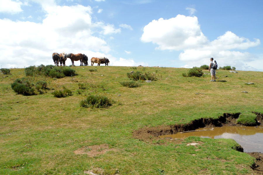 randonnee-paysage-volcans-auvergne randonnee-paysage-volcans-auvergne-