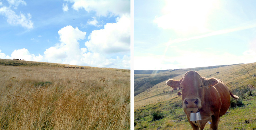 cantal-auvergne-paysage cantal-auvergne-paysage