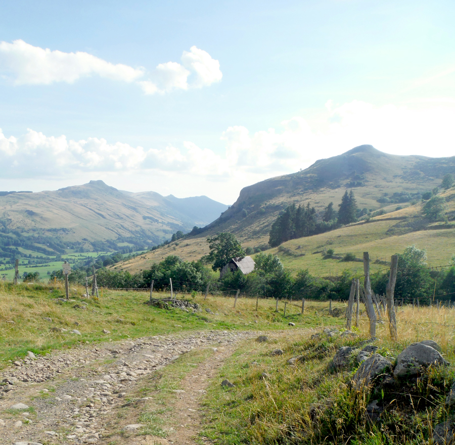 cantal-auvergne cantal-auvergne