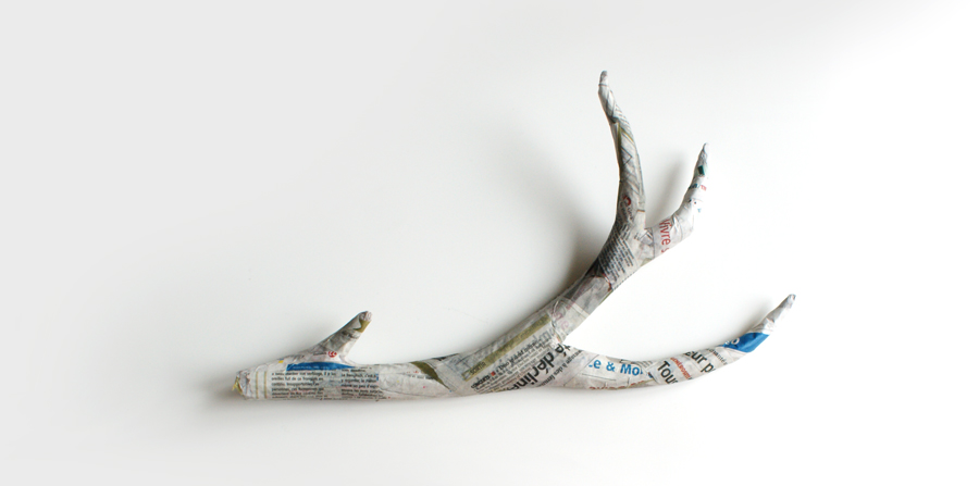 diy-trophee-bois-cerf diy-trophee-bois-cerf