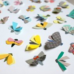 diy-papillons