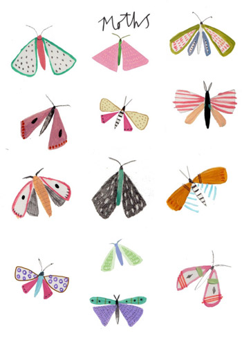 papillon-illustration-amyisla